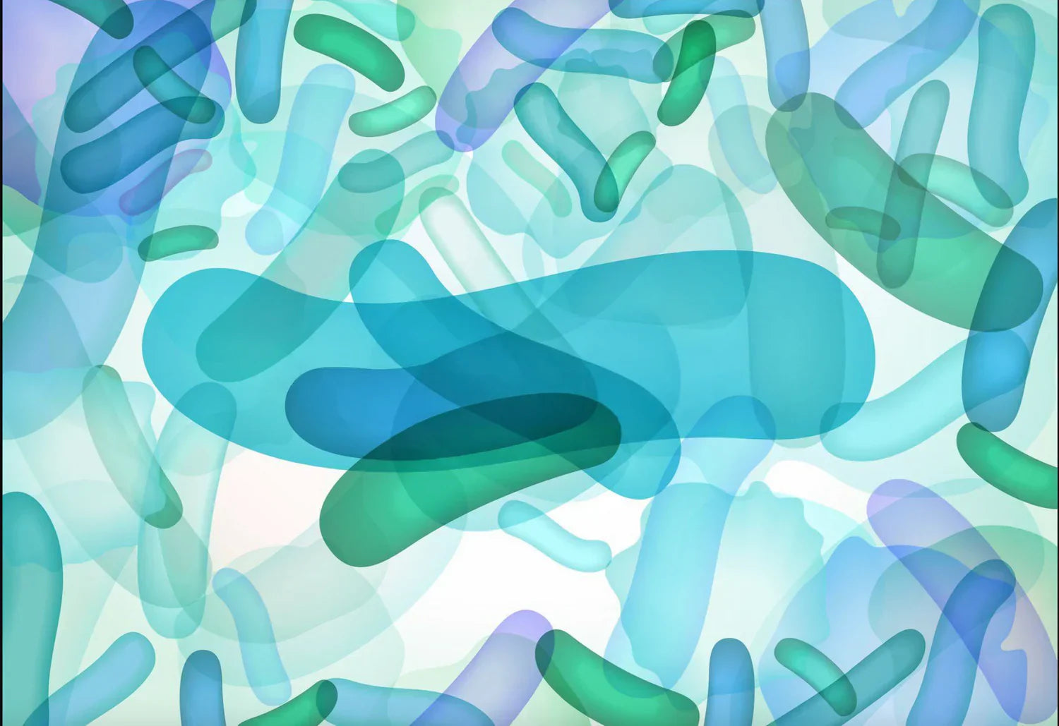 A New Paradigm in Oral Health
